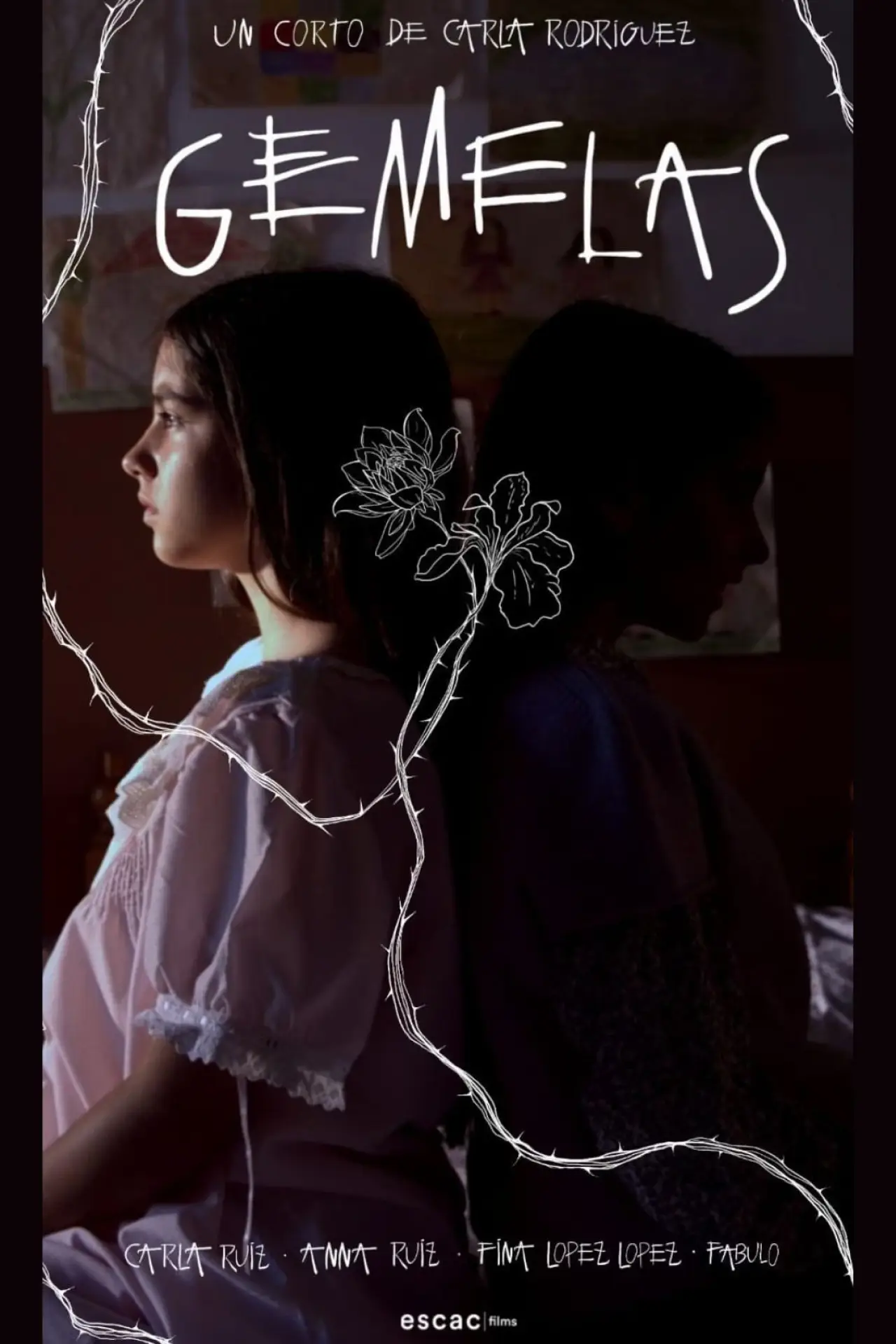 Movie poster "Gemelas"