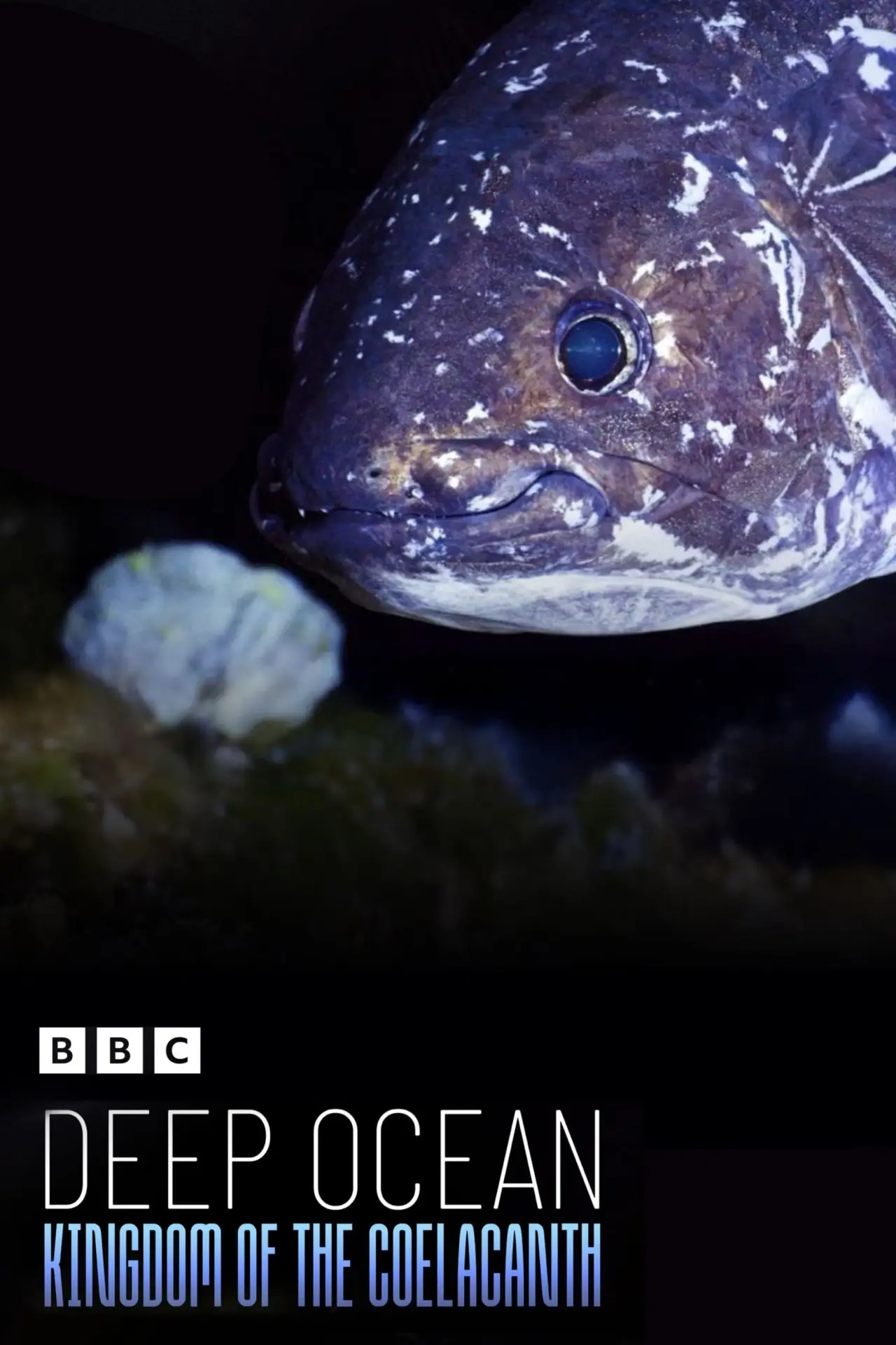 Movie poster "Deep Ocean: Kingdom of the Coelacanth"