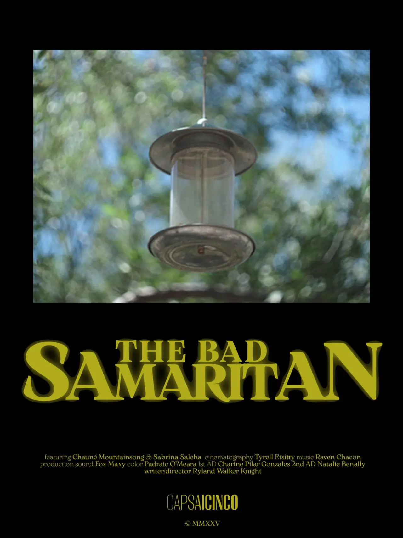 Movie poster "The Bad Samaritan"