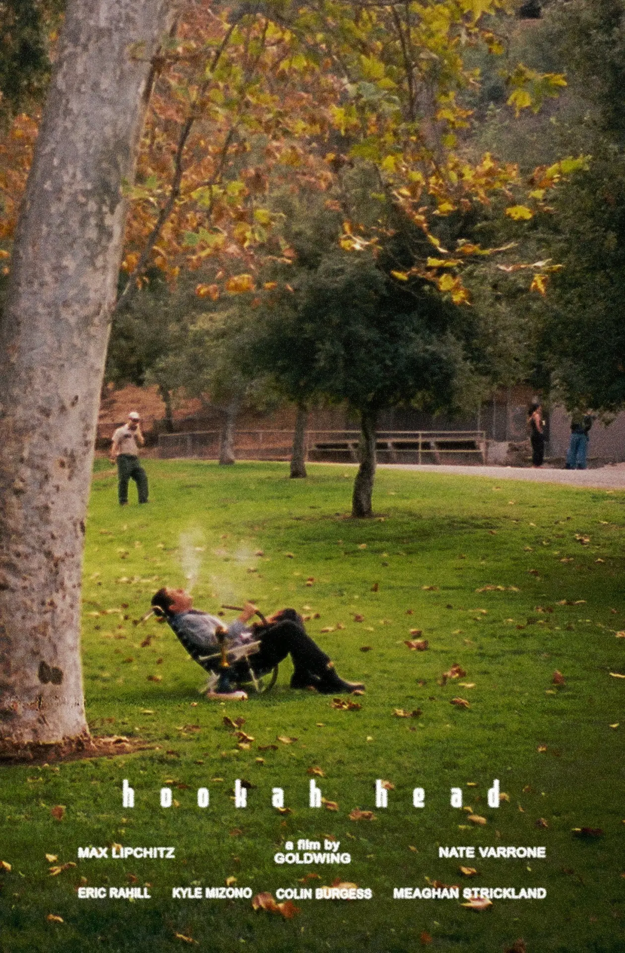 Movie poster "Hookah Head"