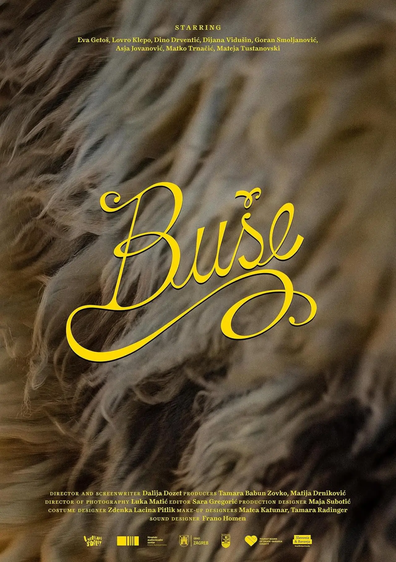 Movie poster "Bushe"