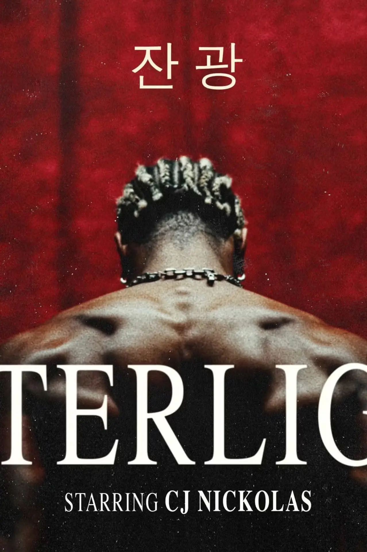 Movie poster "Afterlight"