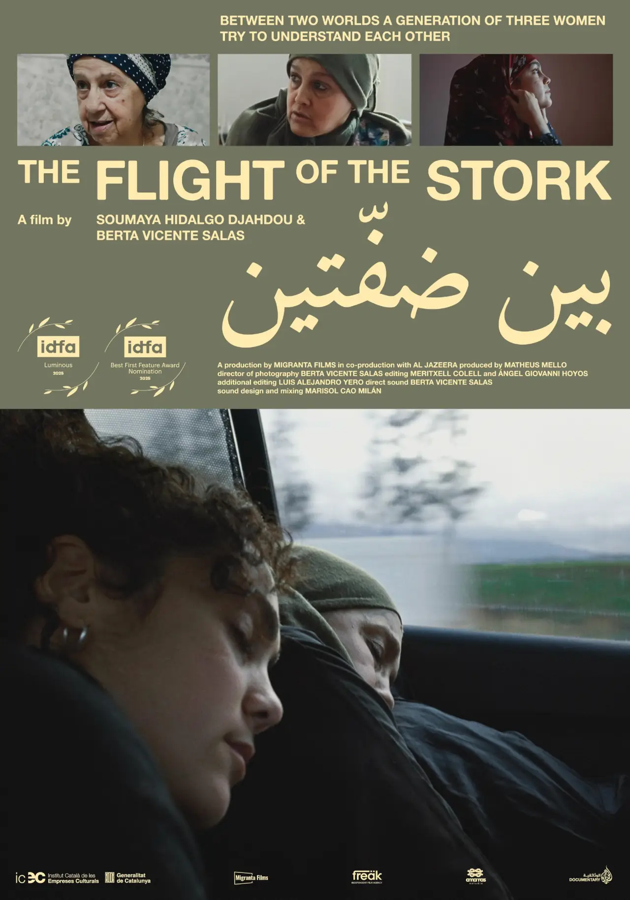Movie poster "The Flight of the Stork"