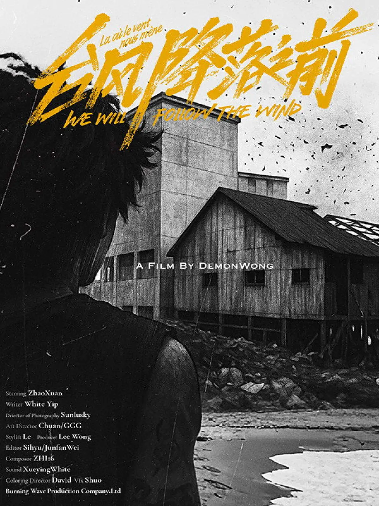 Movie poster "We Will Follow the Wind"