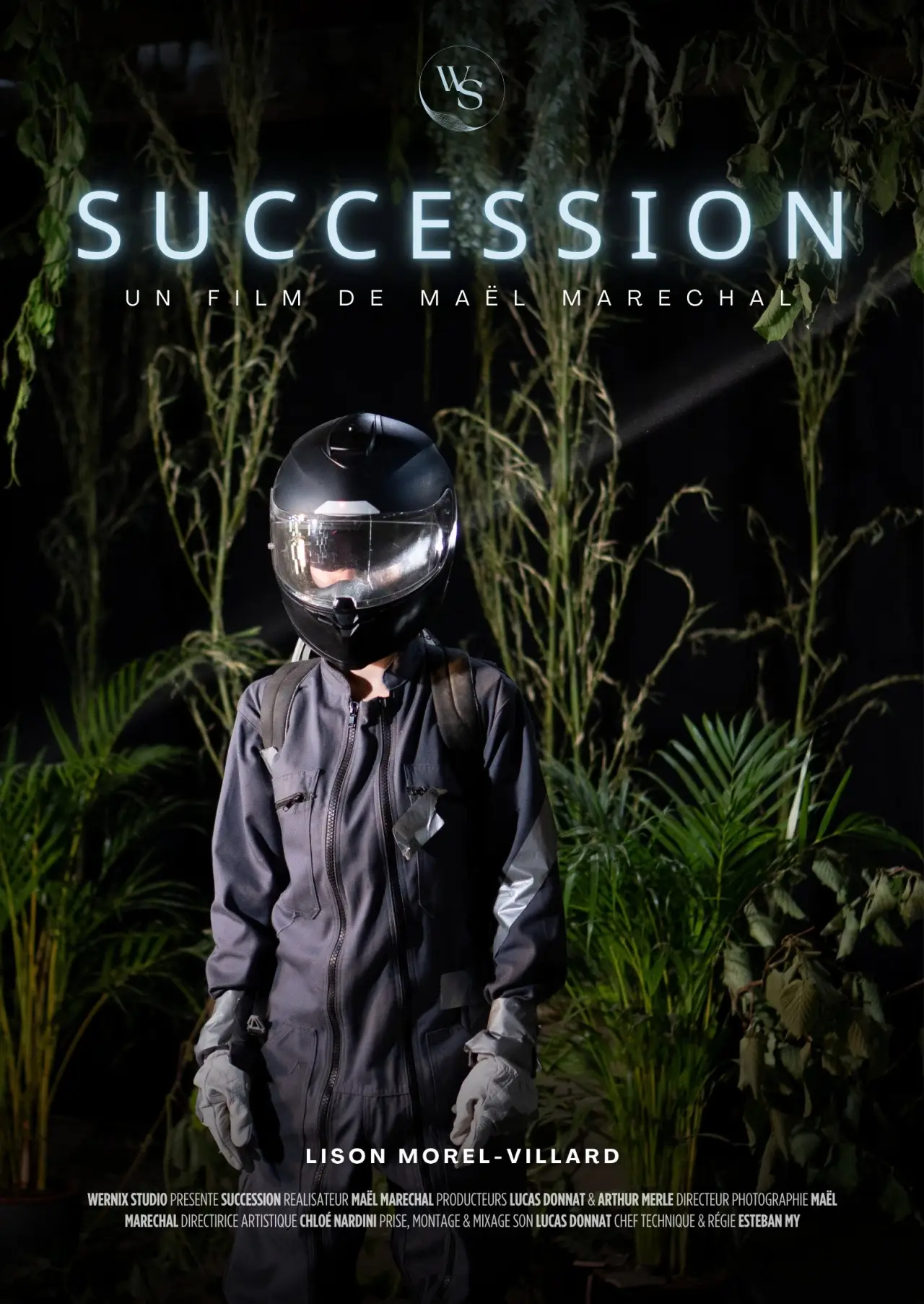 Movie poster "Succession"