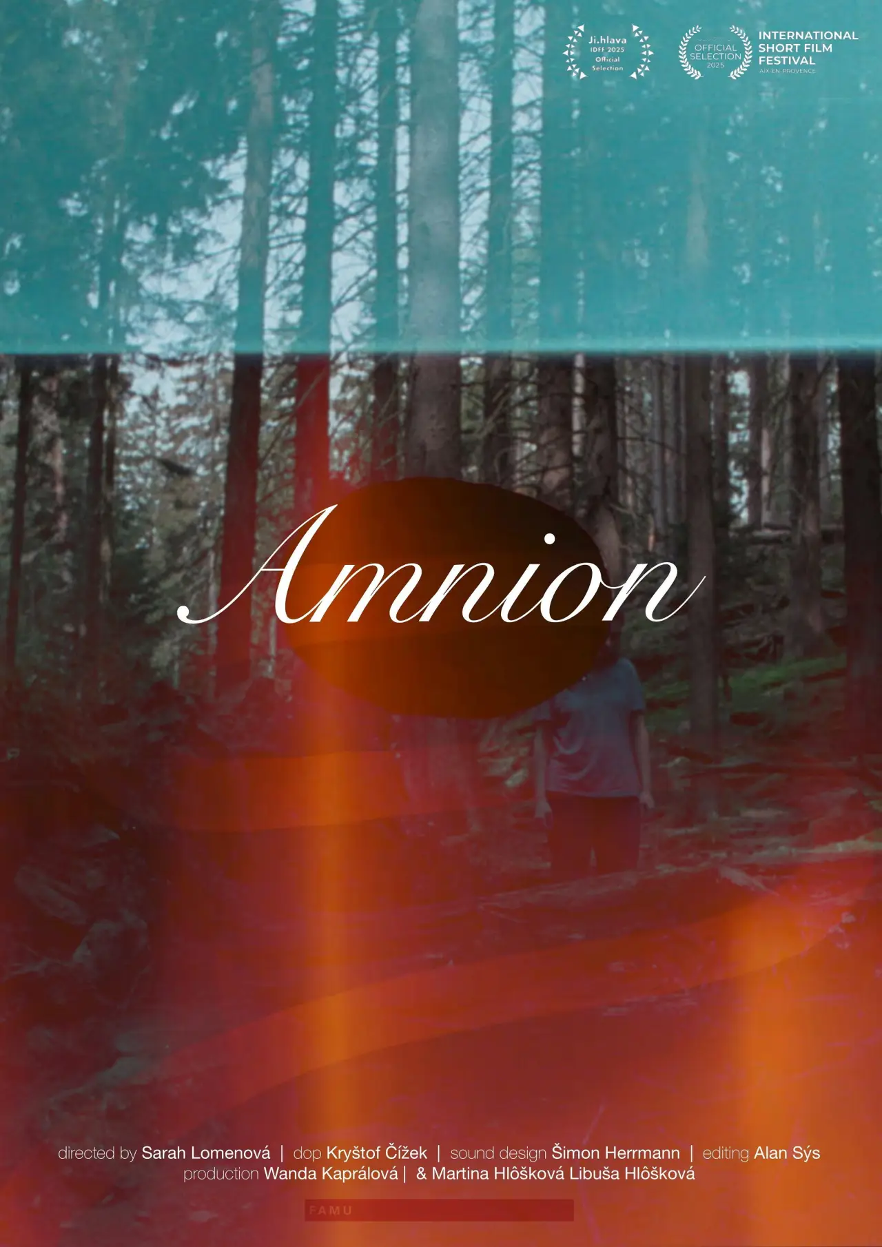 Movie poster "Amnion"