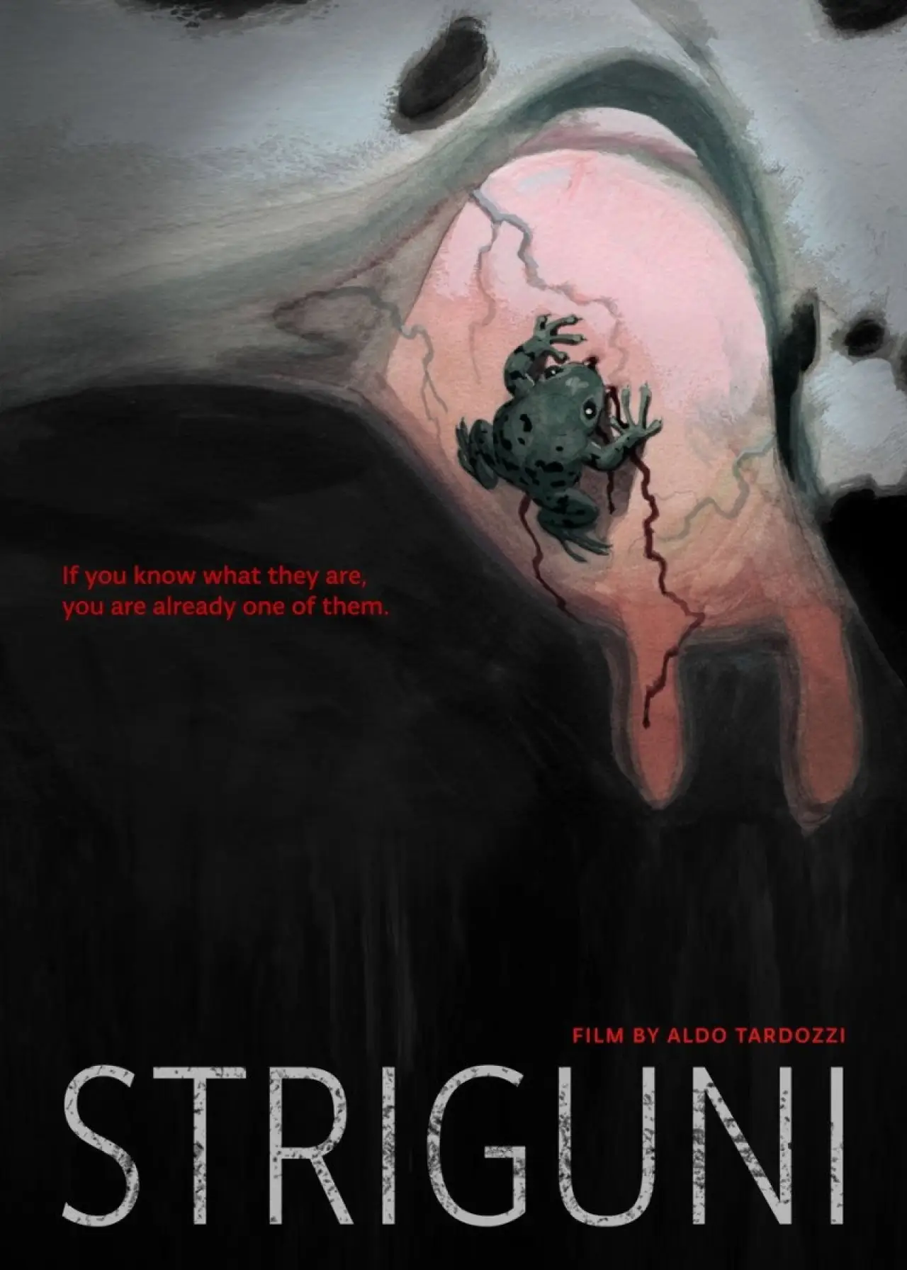 Movie poster "Striguni"