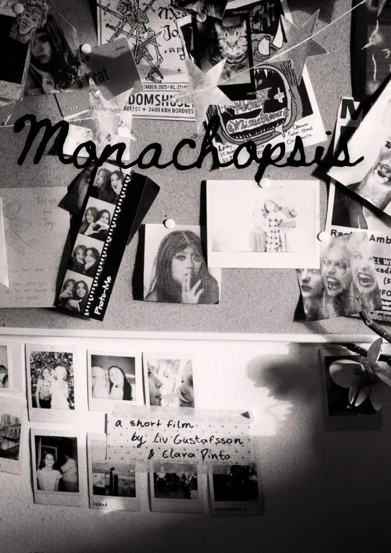 Movie poster "Monachopsis"