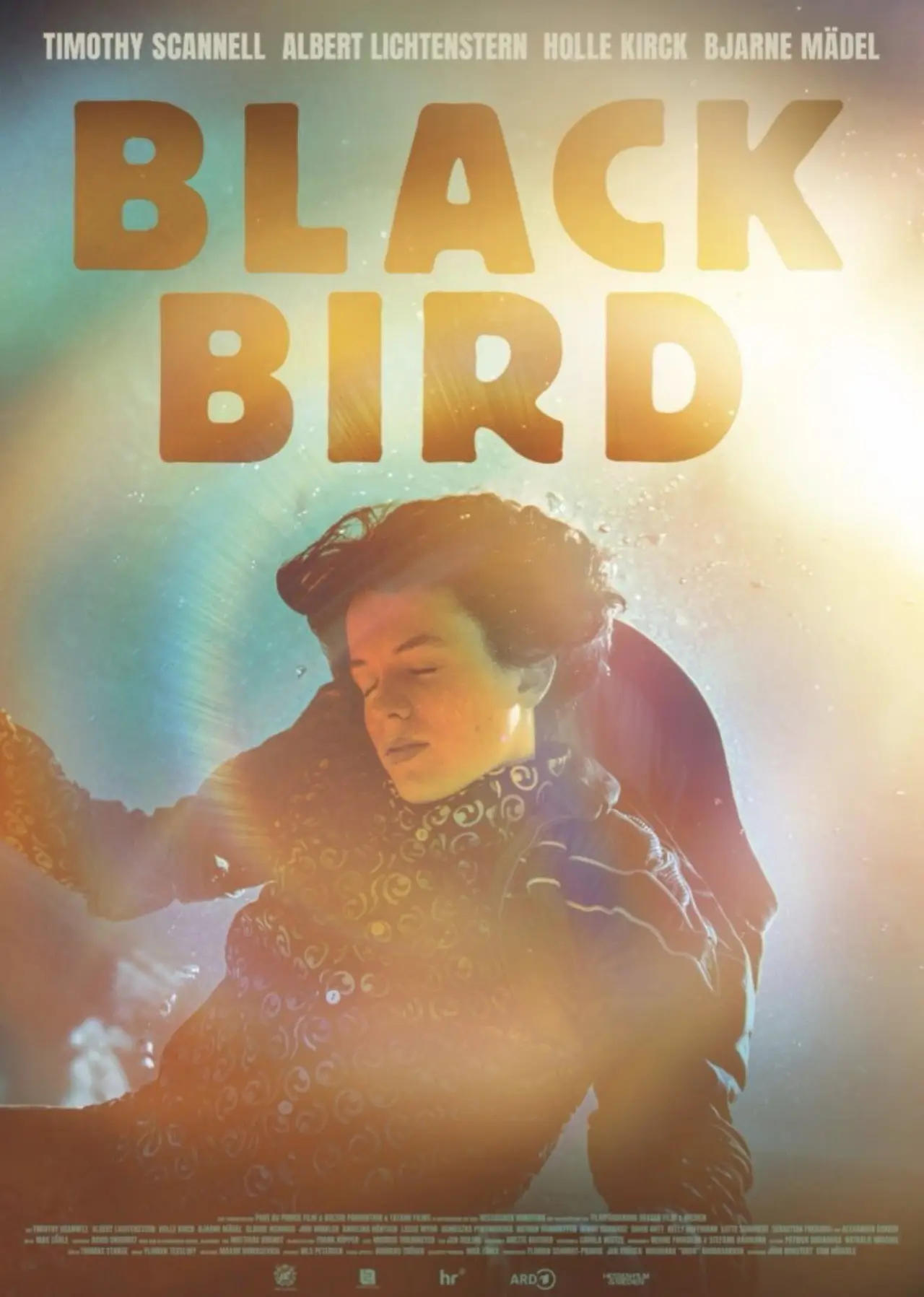 Movie poster "Blackbird"