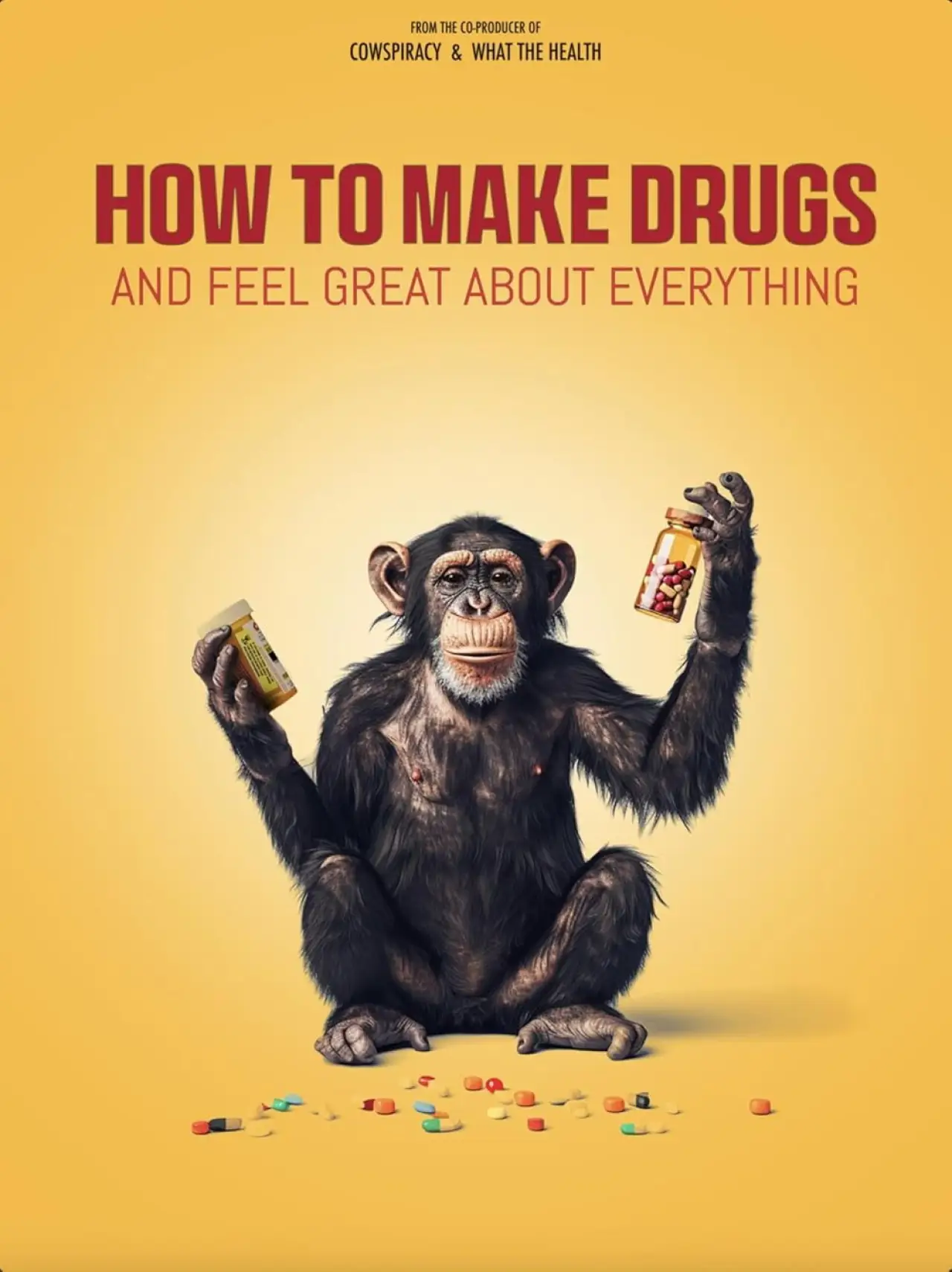 Movie poster "How to Make Drugs and Feel Great About Everything"