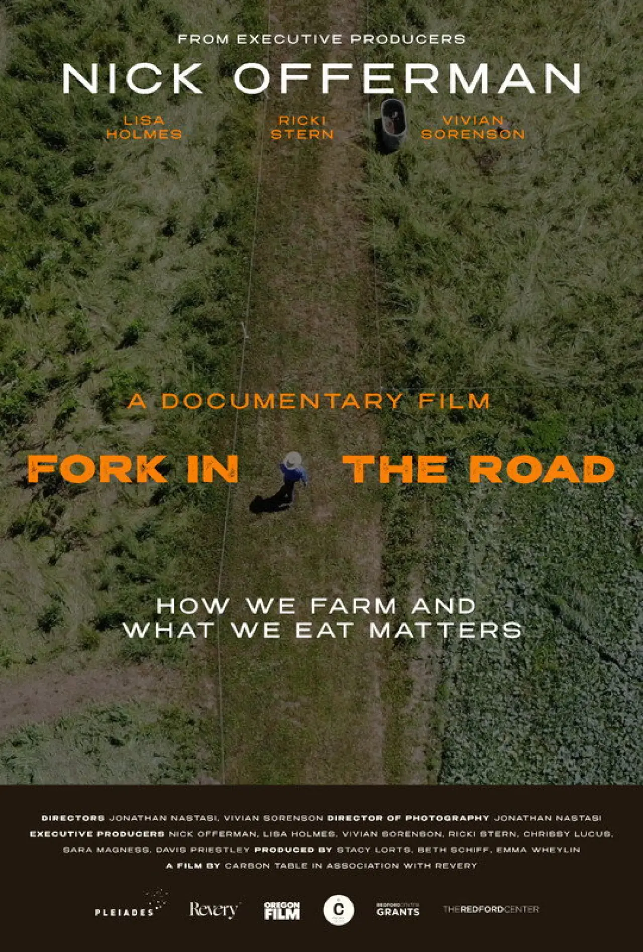 Movie poster "Fork in the Road"