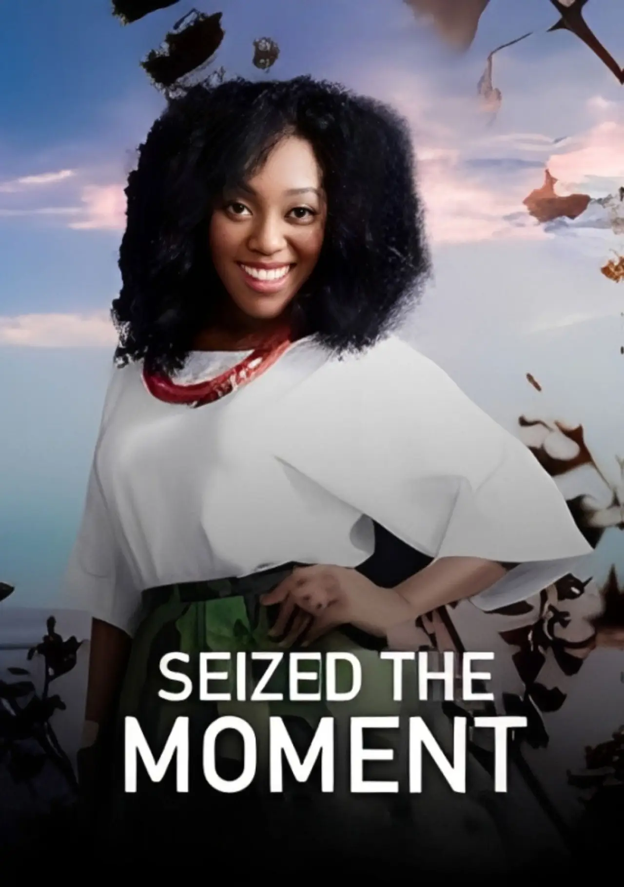 Movie poster "Seized the moment"