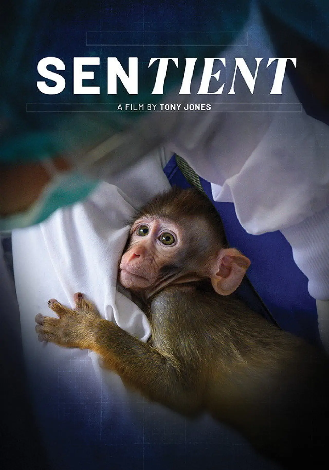 Movie poster "Sentient"