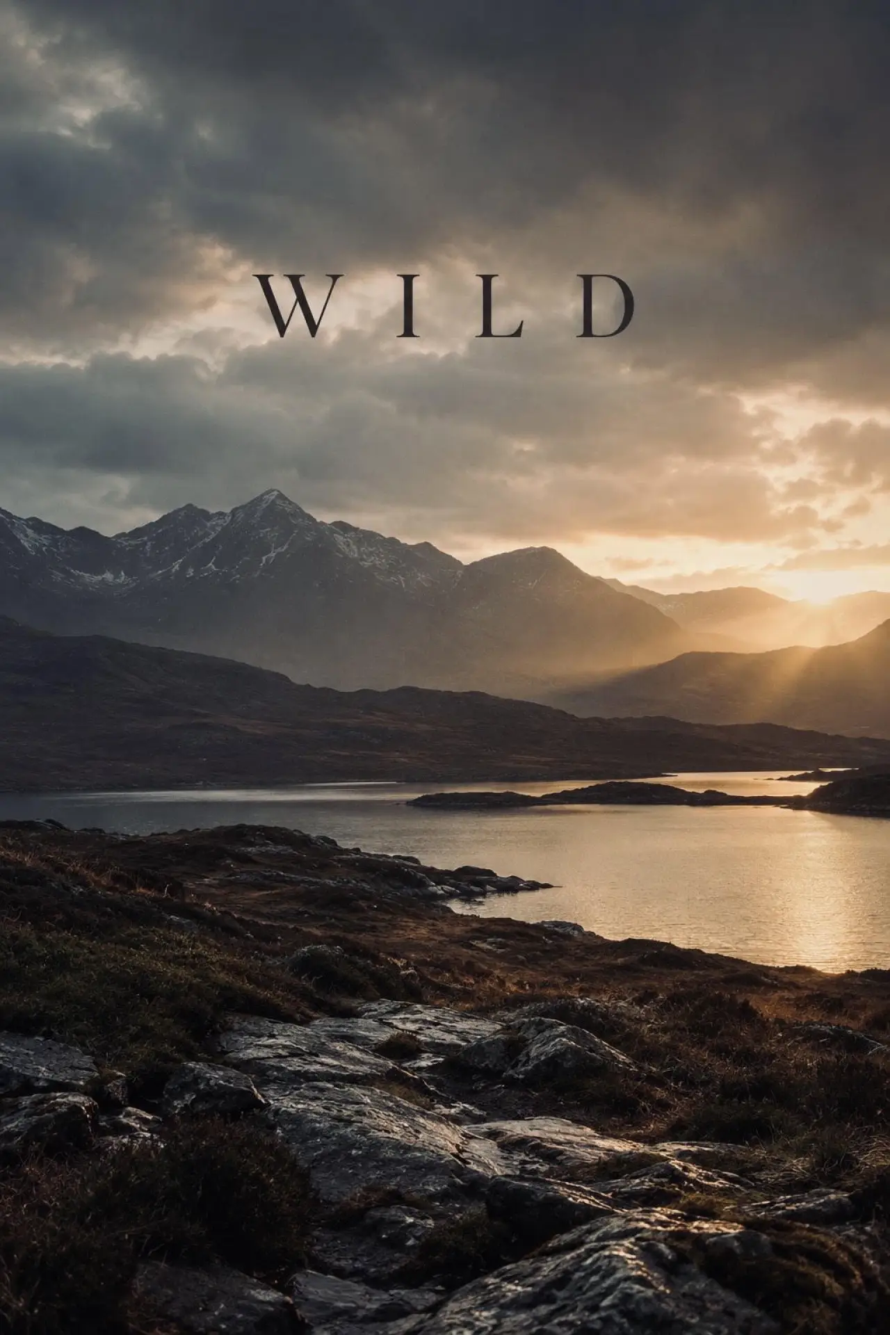 Movie poster "Wild"
