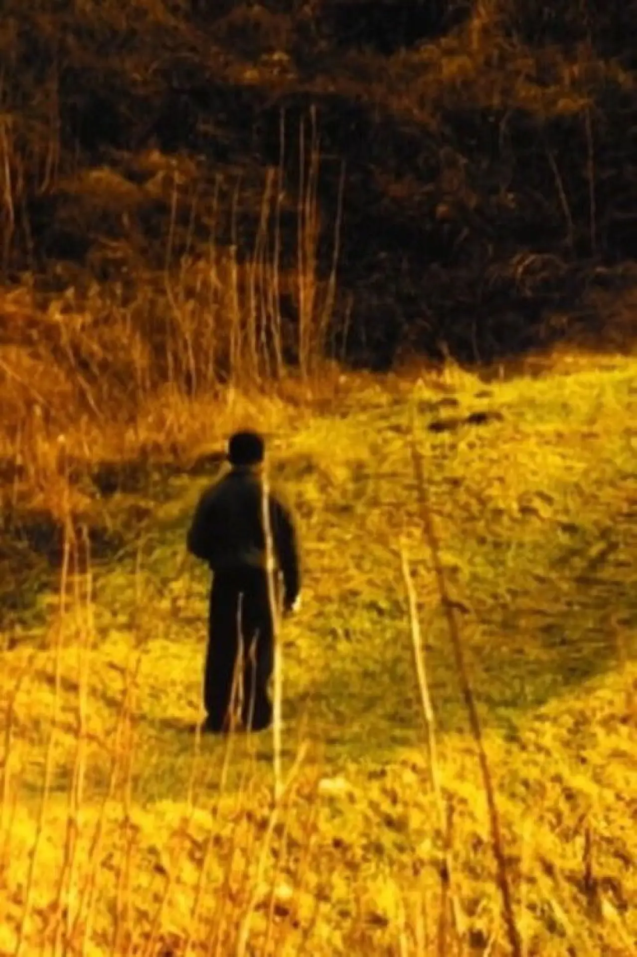 Movie poster "This Land Killed Me"