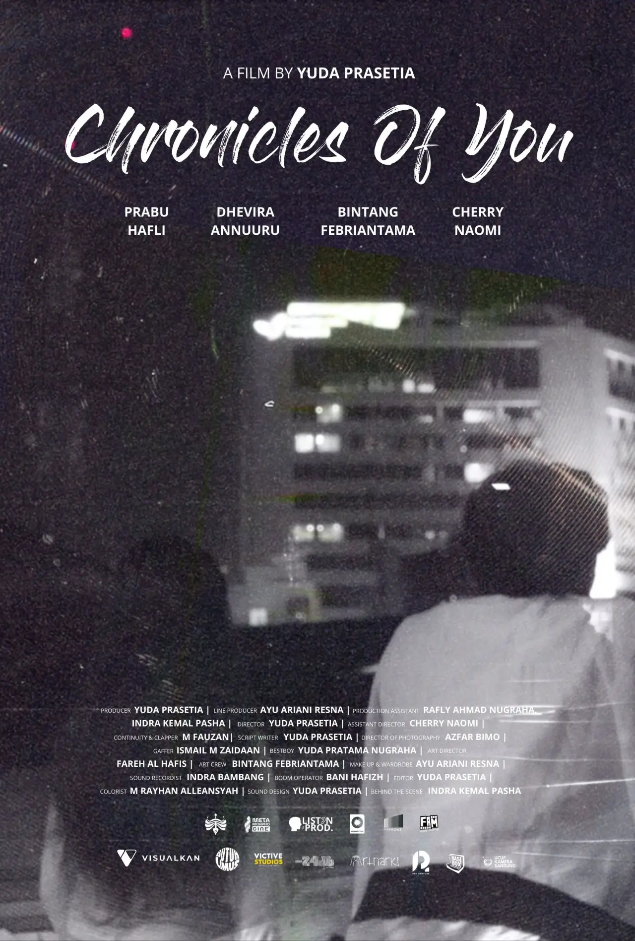 Movie poster "Chronicles of You"