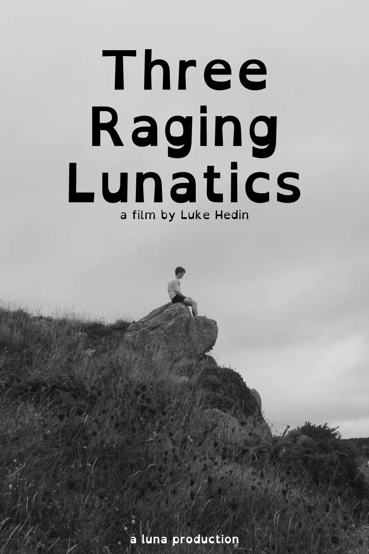 Movie poster "Three Raging Lunatics"