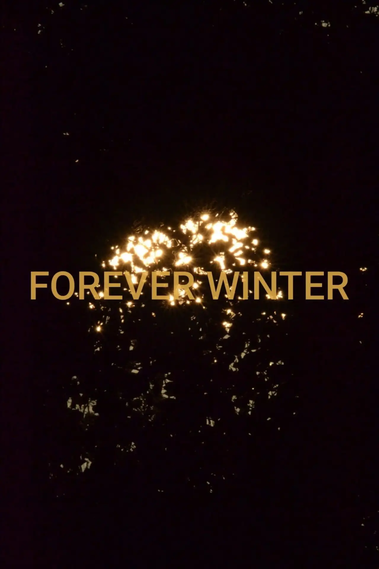Movie poster "Forever Winter"
