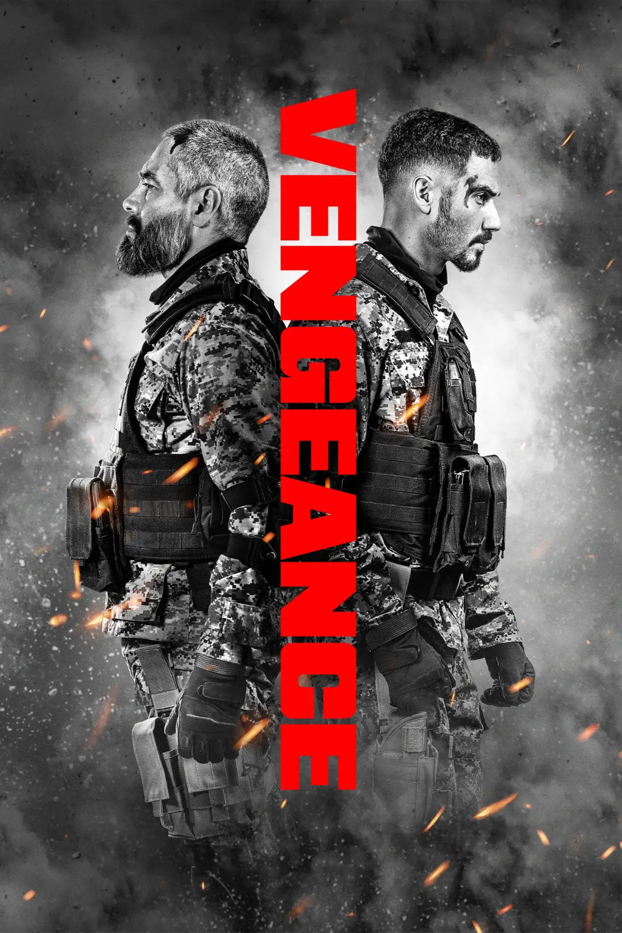 Movie poster "Vengeance"