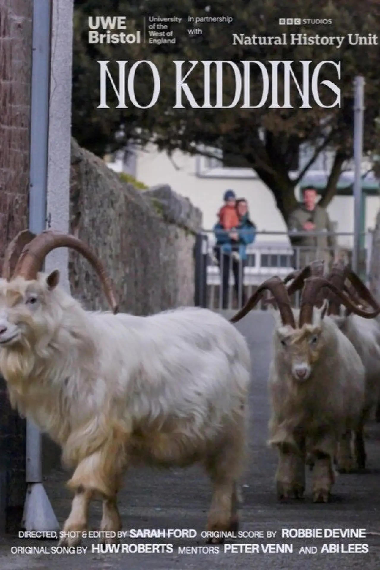 Movie poster "No Kidding"