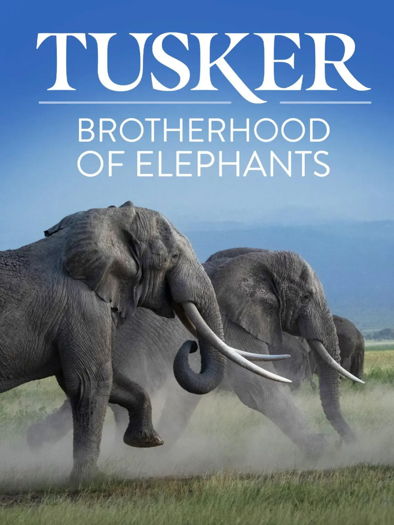 Movie poster "Tusker: Brotherhood of Elephants"