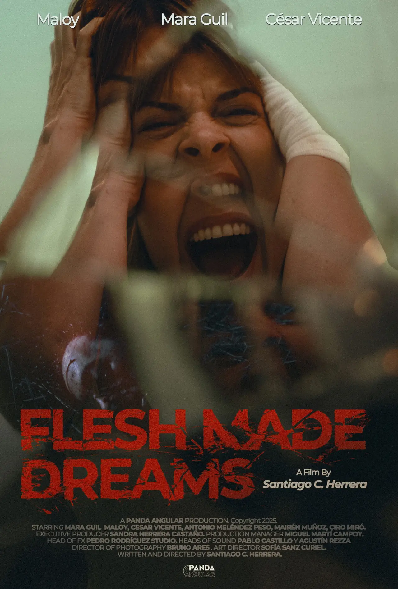 Movie poster "Sueños de Carne"