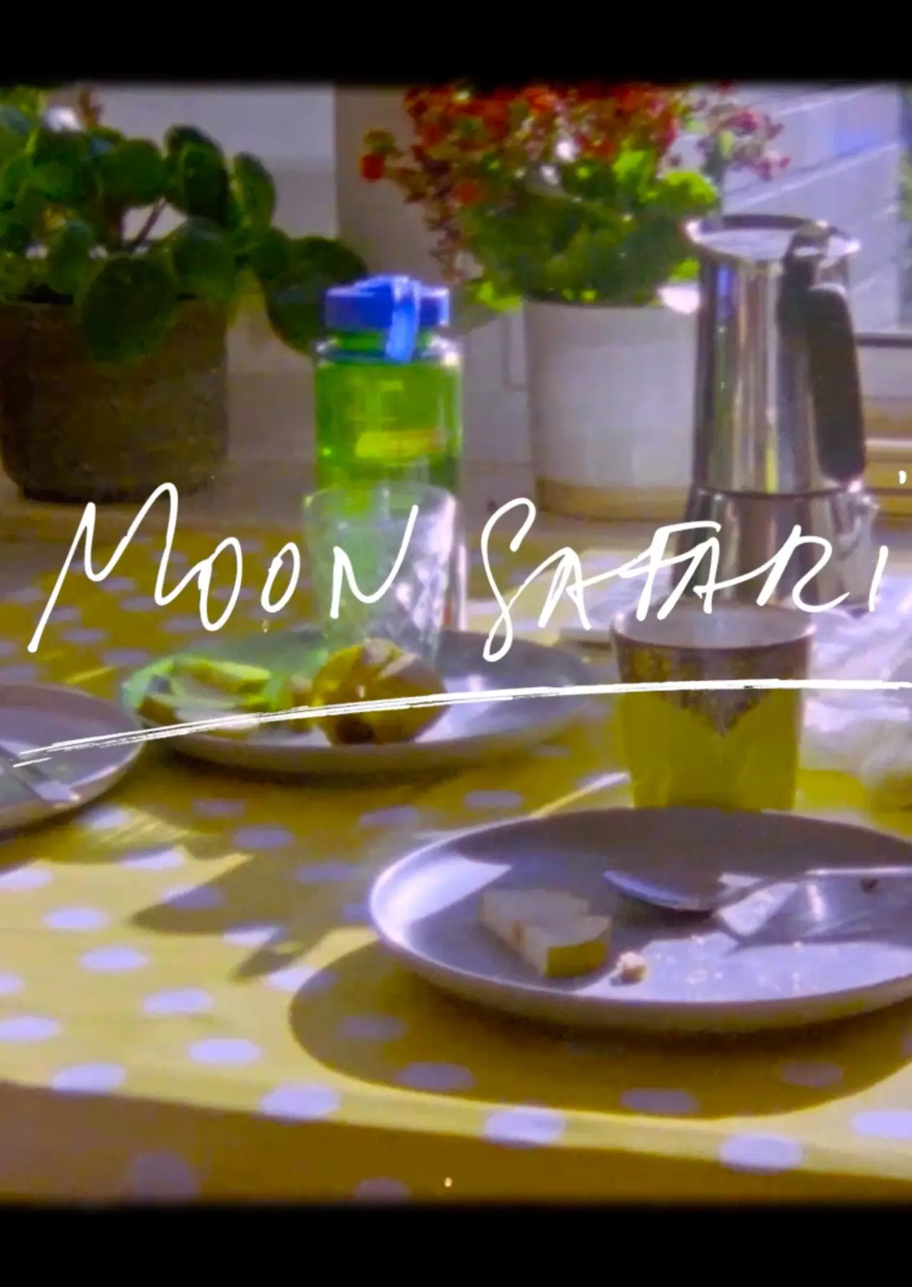 Movie poster "Moon Safari"