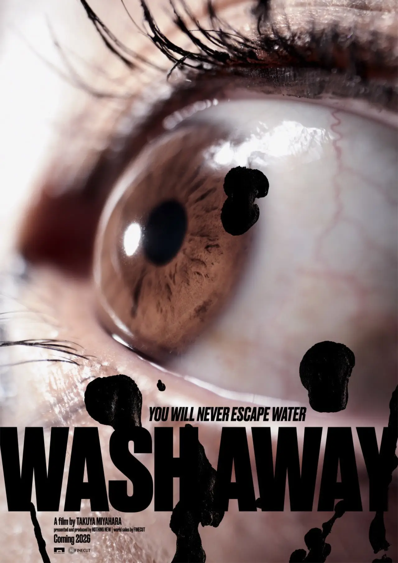 Movie poster "Wash Away"