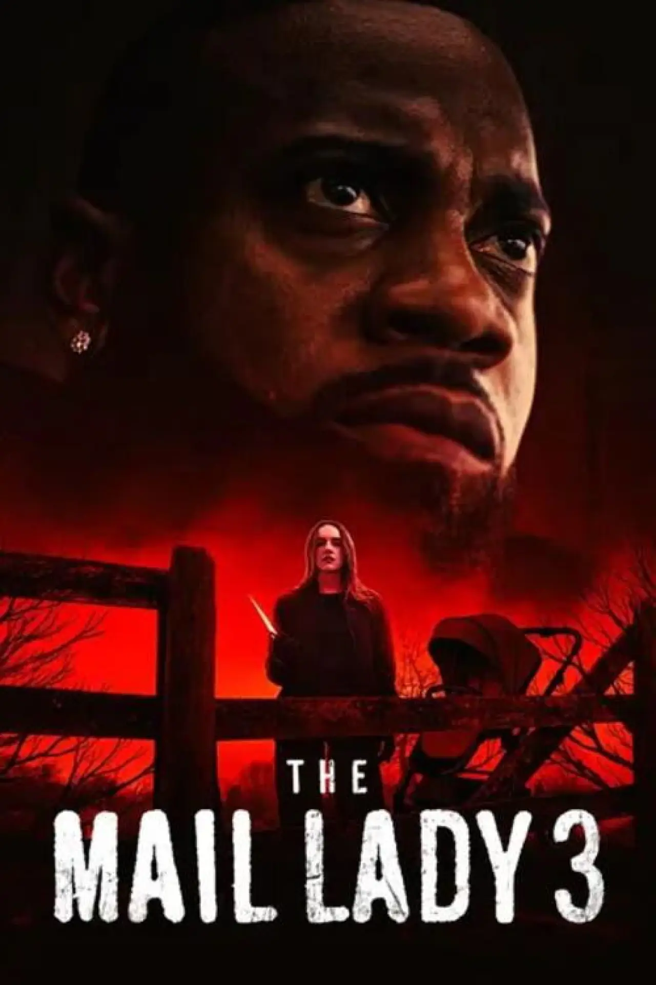 Movie poster "The Mail Lady 3"