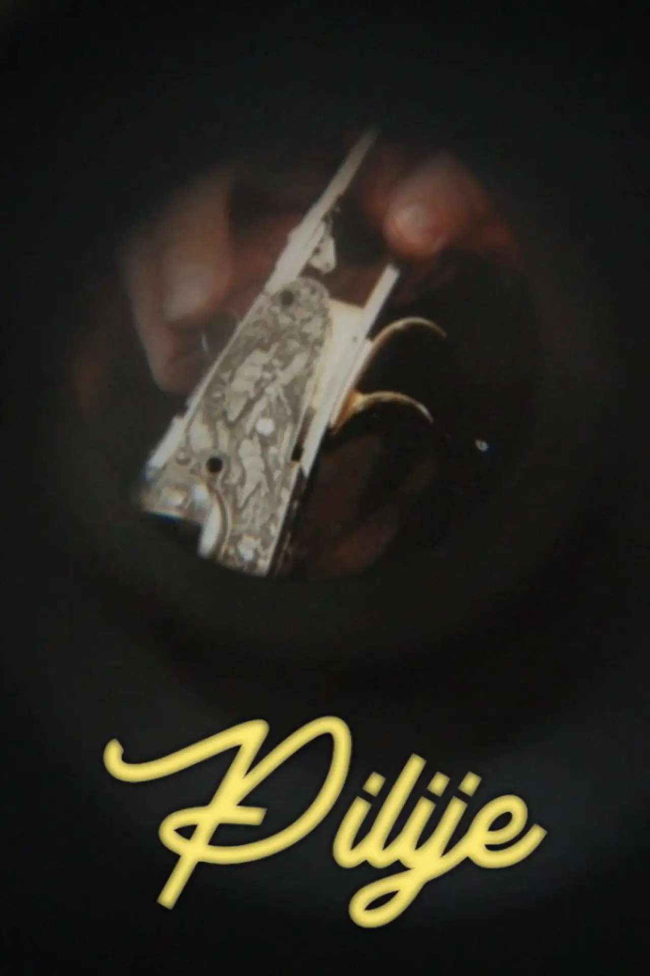Movie poster "Pilije"