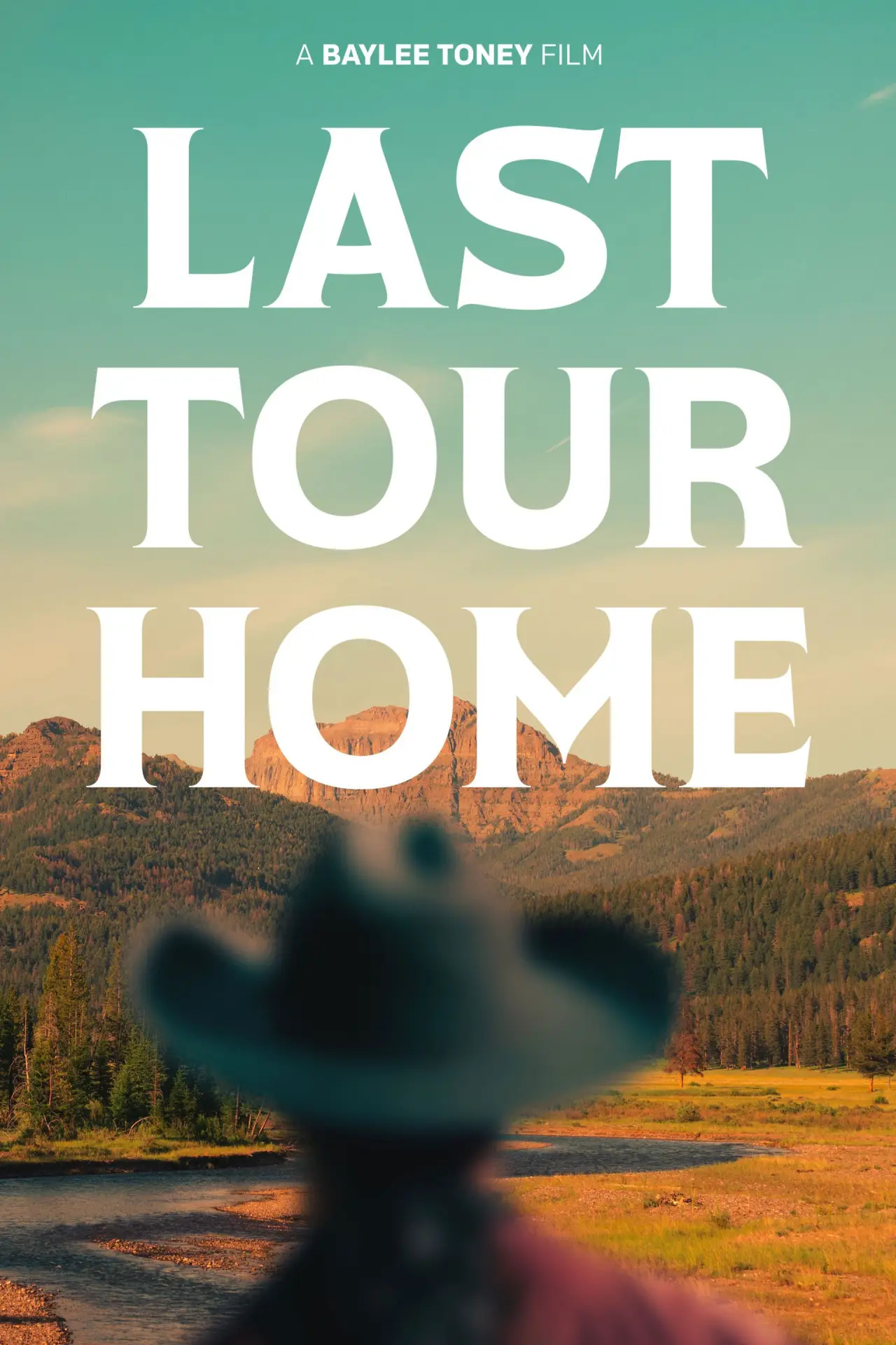 Movie poster "Last Tour Home"