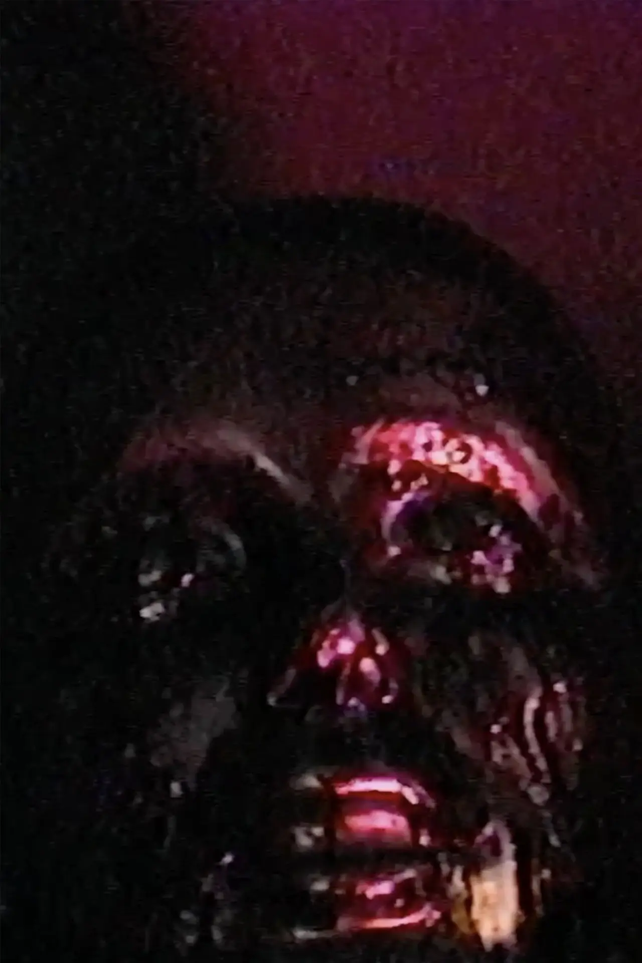 Movie poster "Disgust"