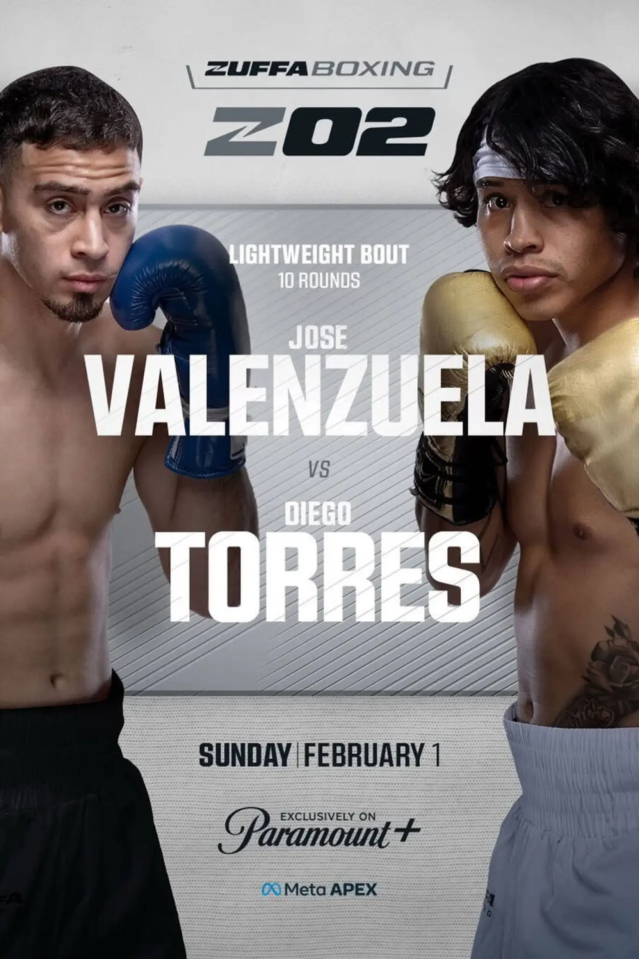 Movie poster "Zuffa Boxing 02"