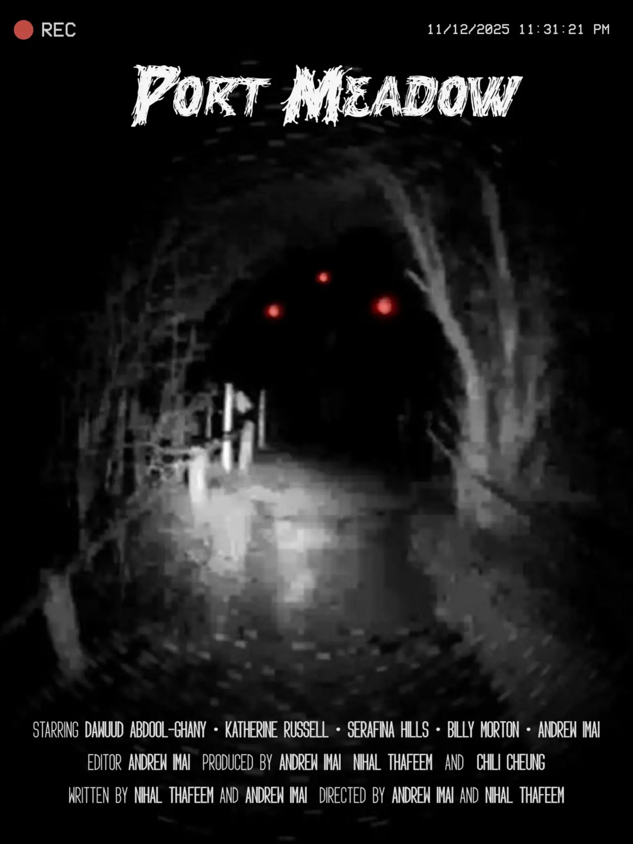 Movie poster "Port Meadow"