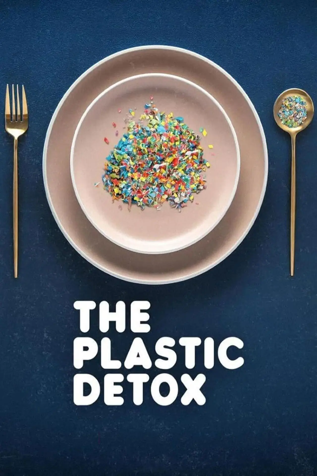 Movie poster "The Plastic Detox"