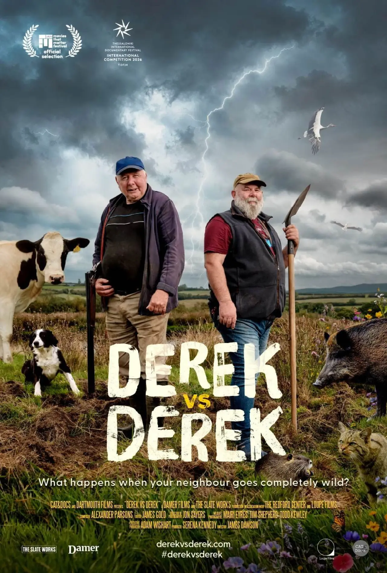 Movie poster "Derek vs Derek"