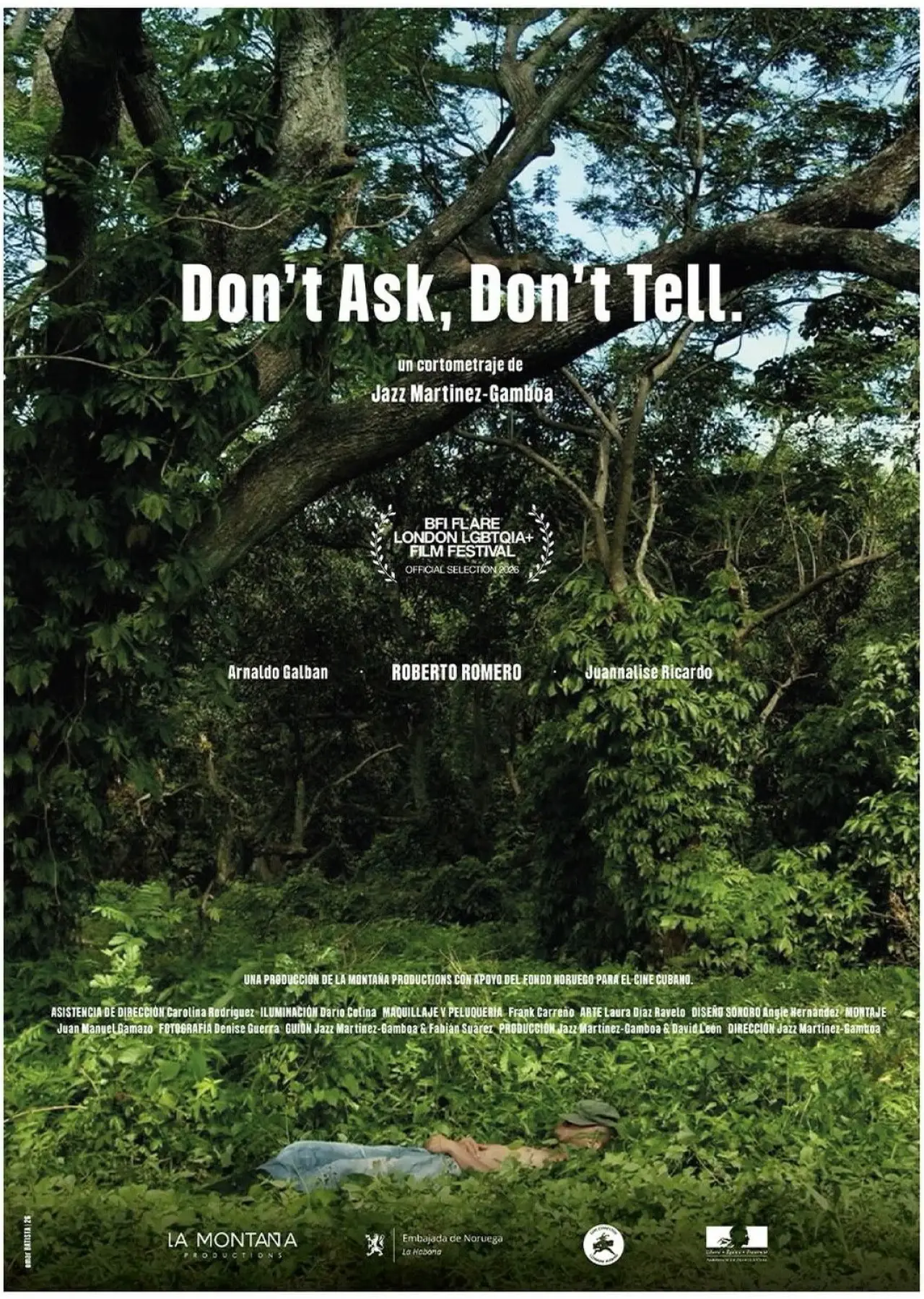 Movie poster "Don