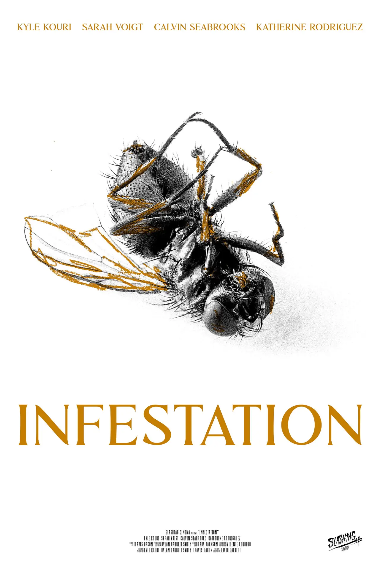 Movie poster "Infestation"