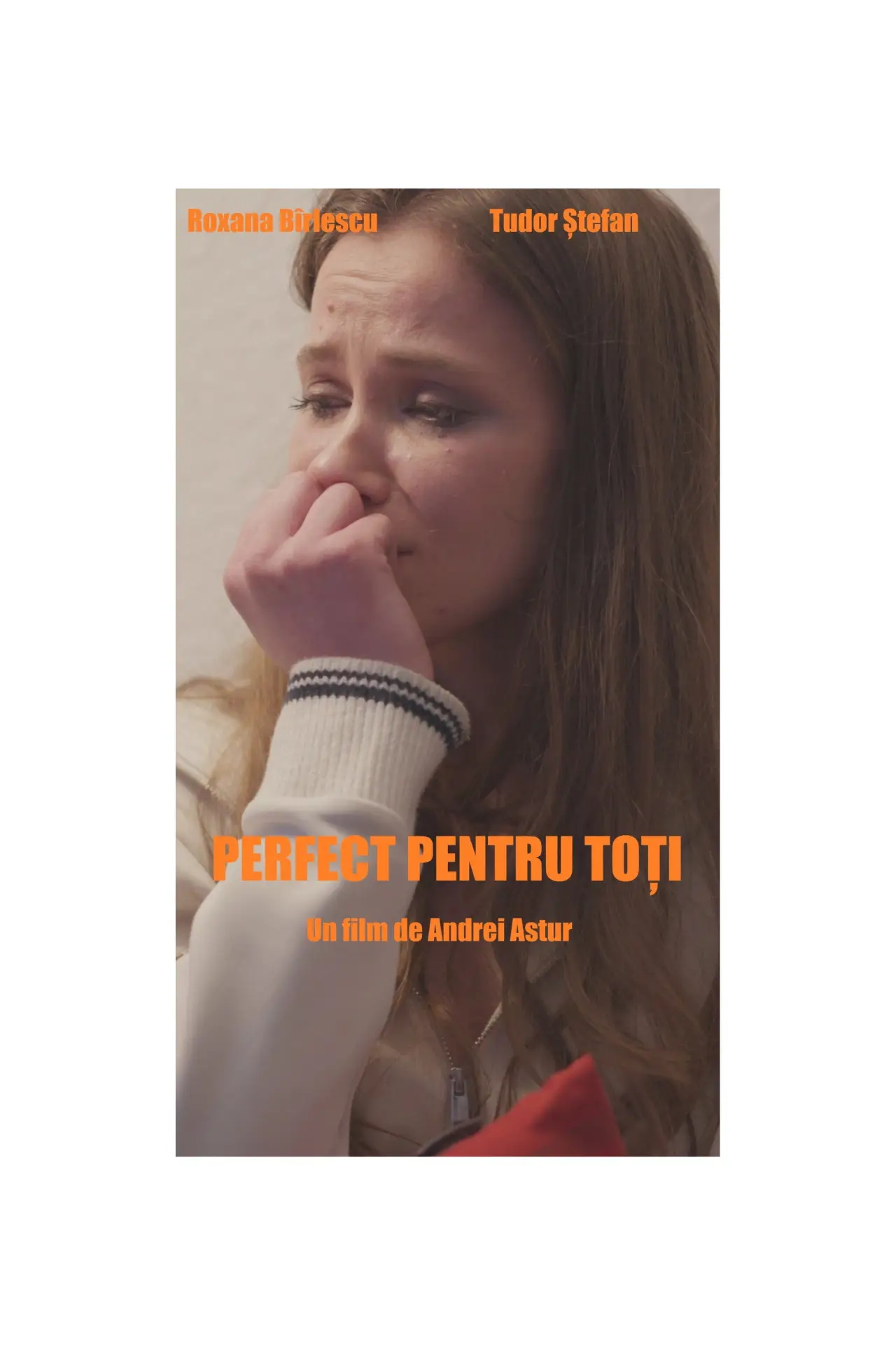 Movie poster "Perfect for everyone"