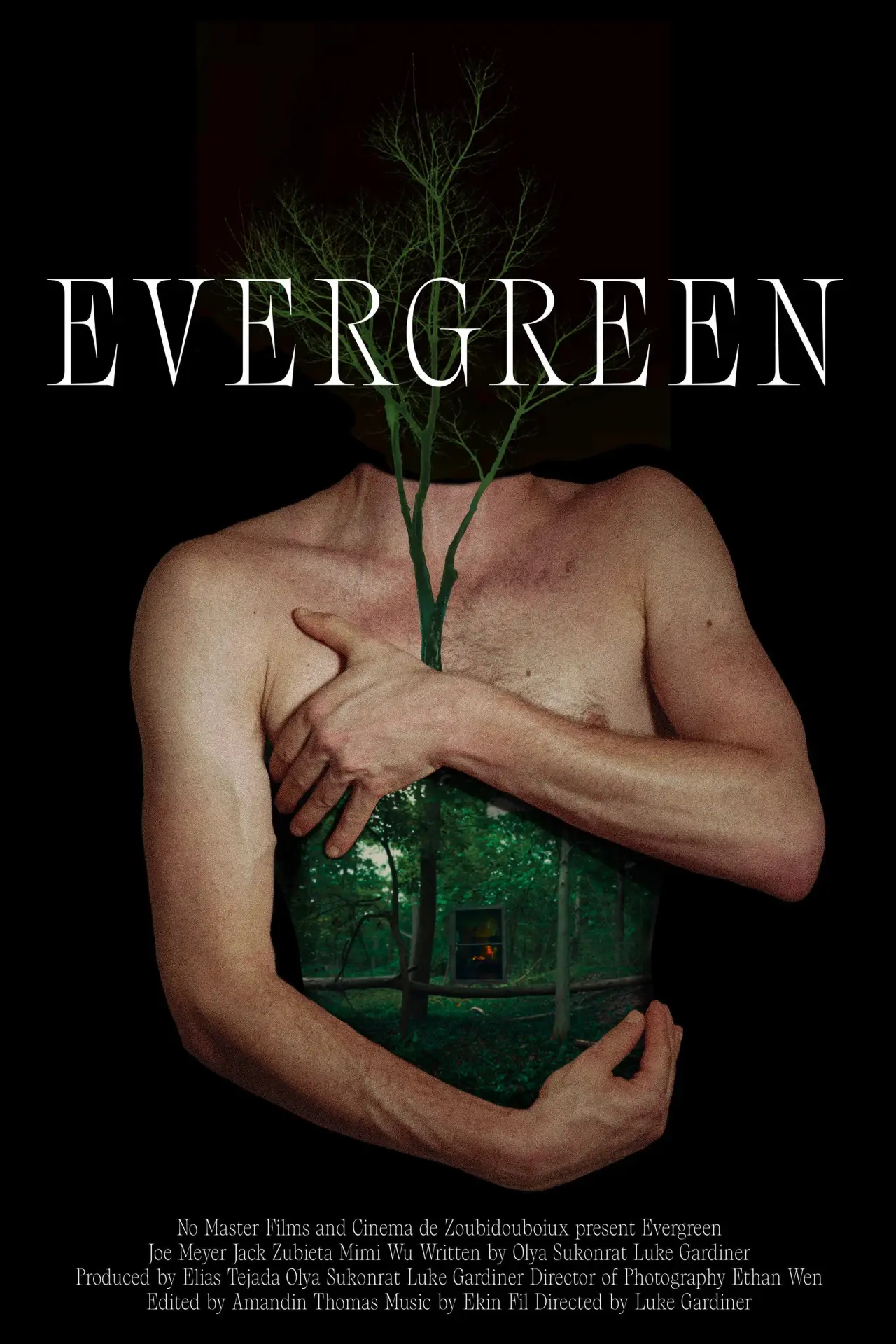 Movie poster "Evergreen"