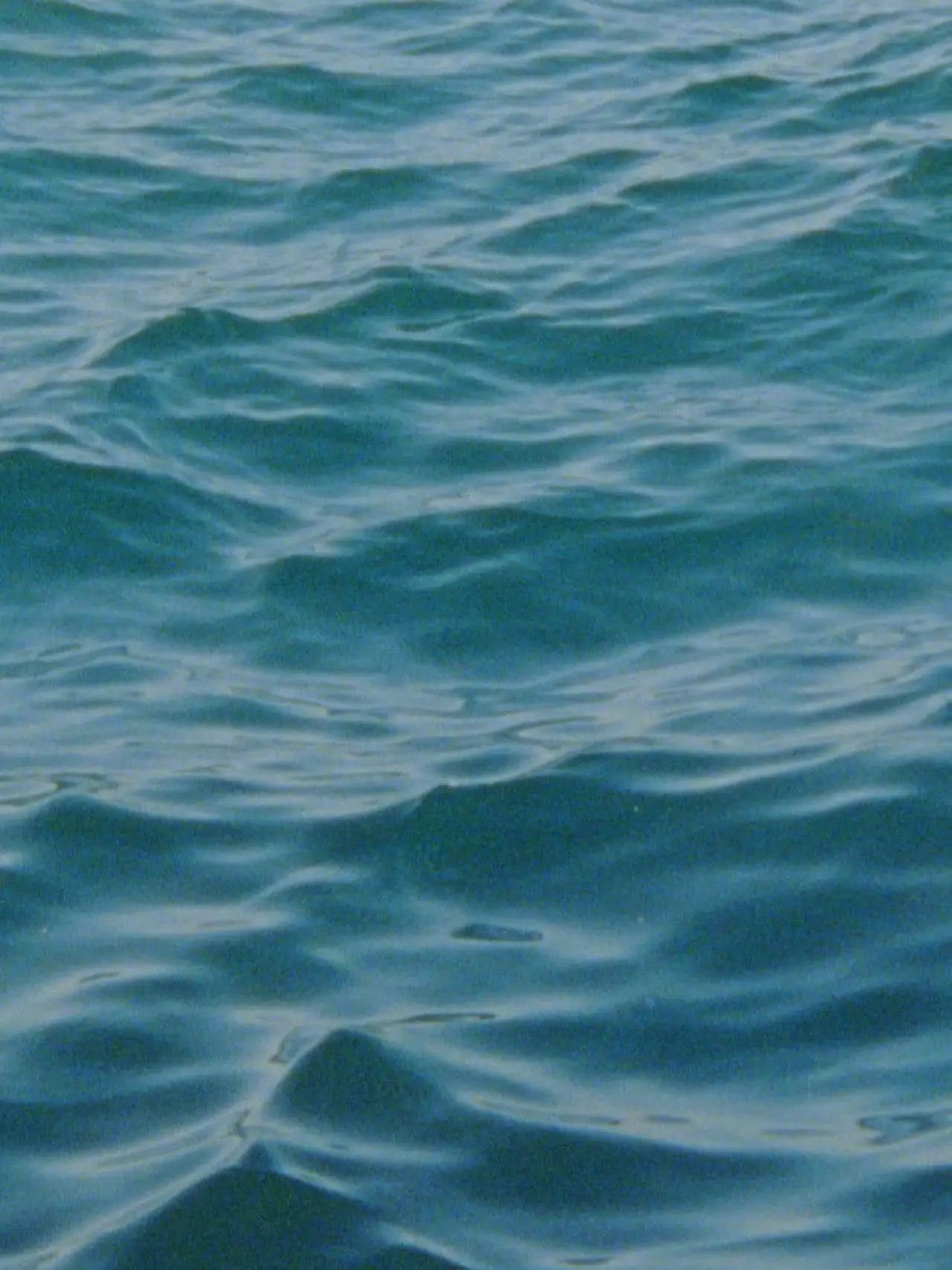 Movie poster "Water Diary"