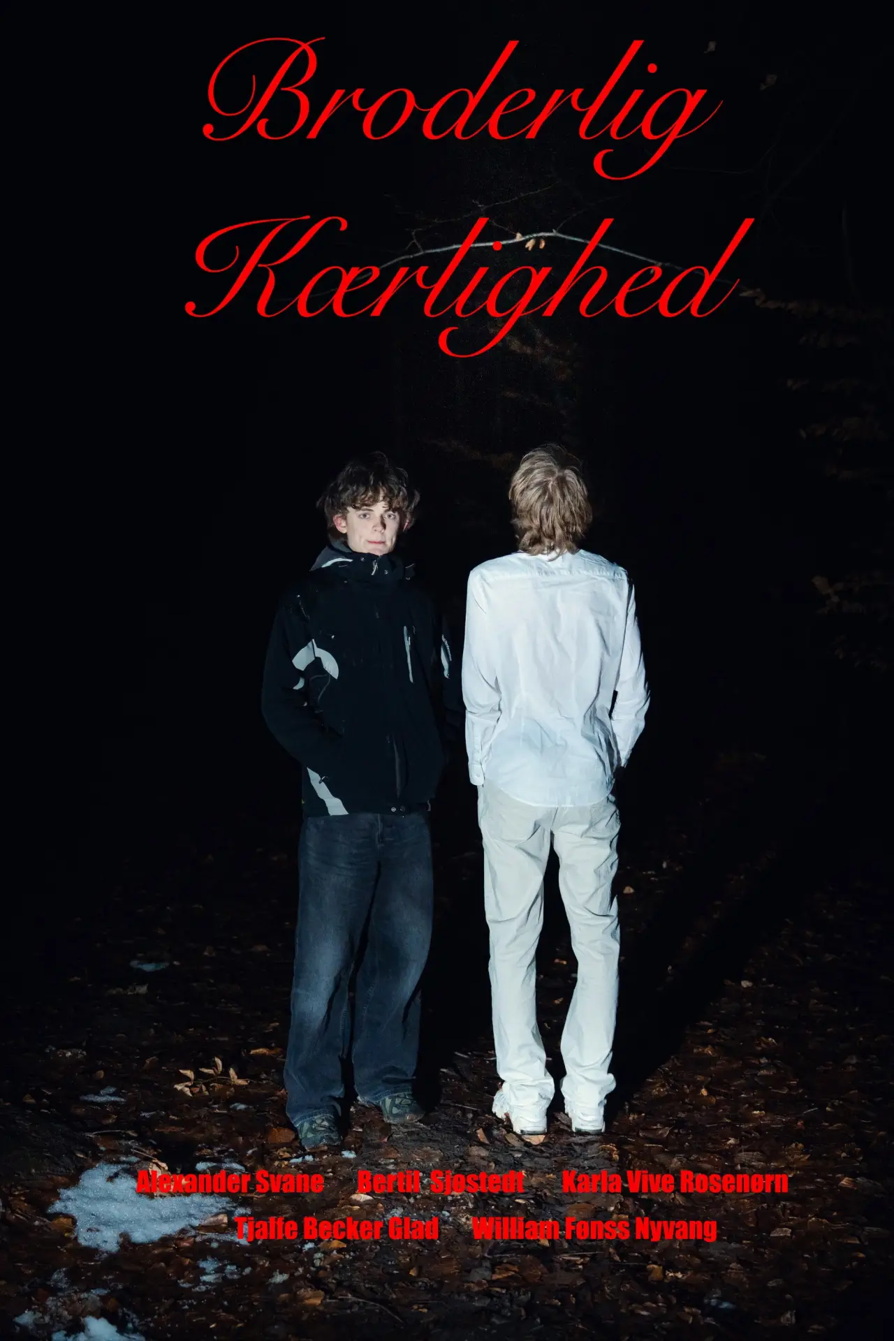 Movie poster "Brotherly love"