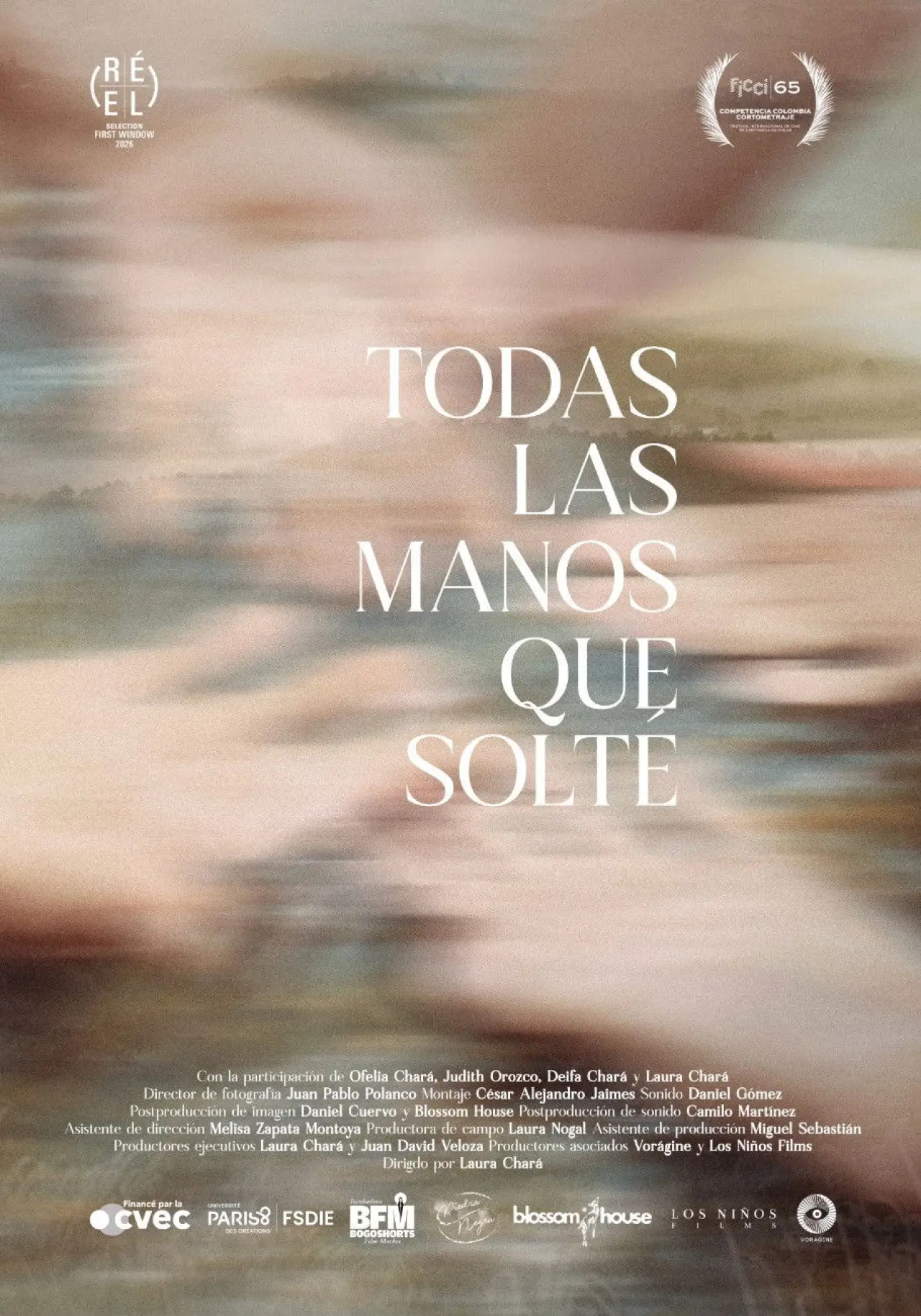 Movie poster "All the Hands I’ve Let Go"