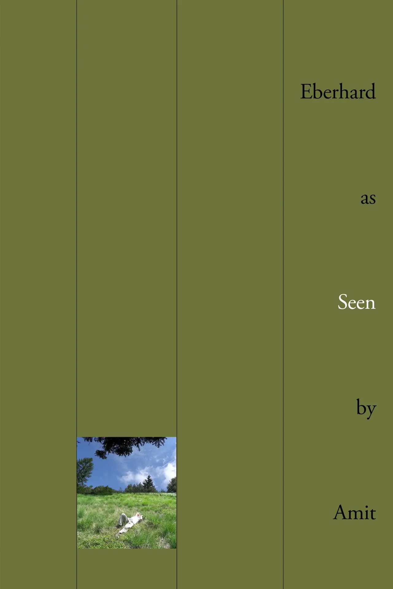 Movie poster "Eberhard as Seen by Amit"
