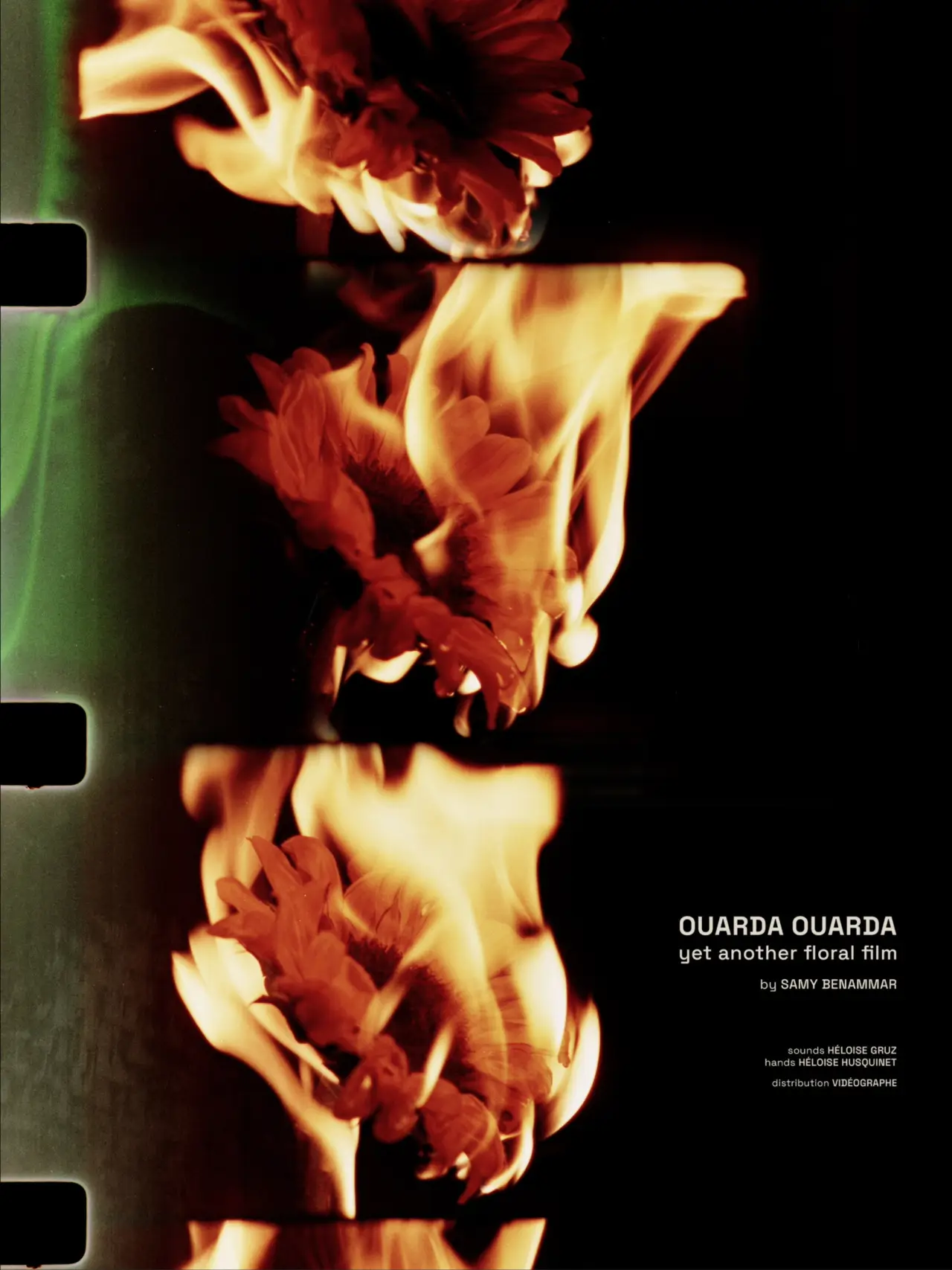Movie poster "Ouarda Ouarda: yet another floral film"