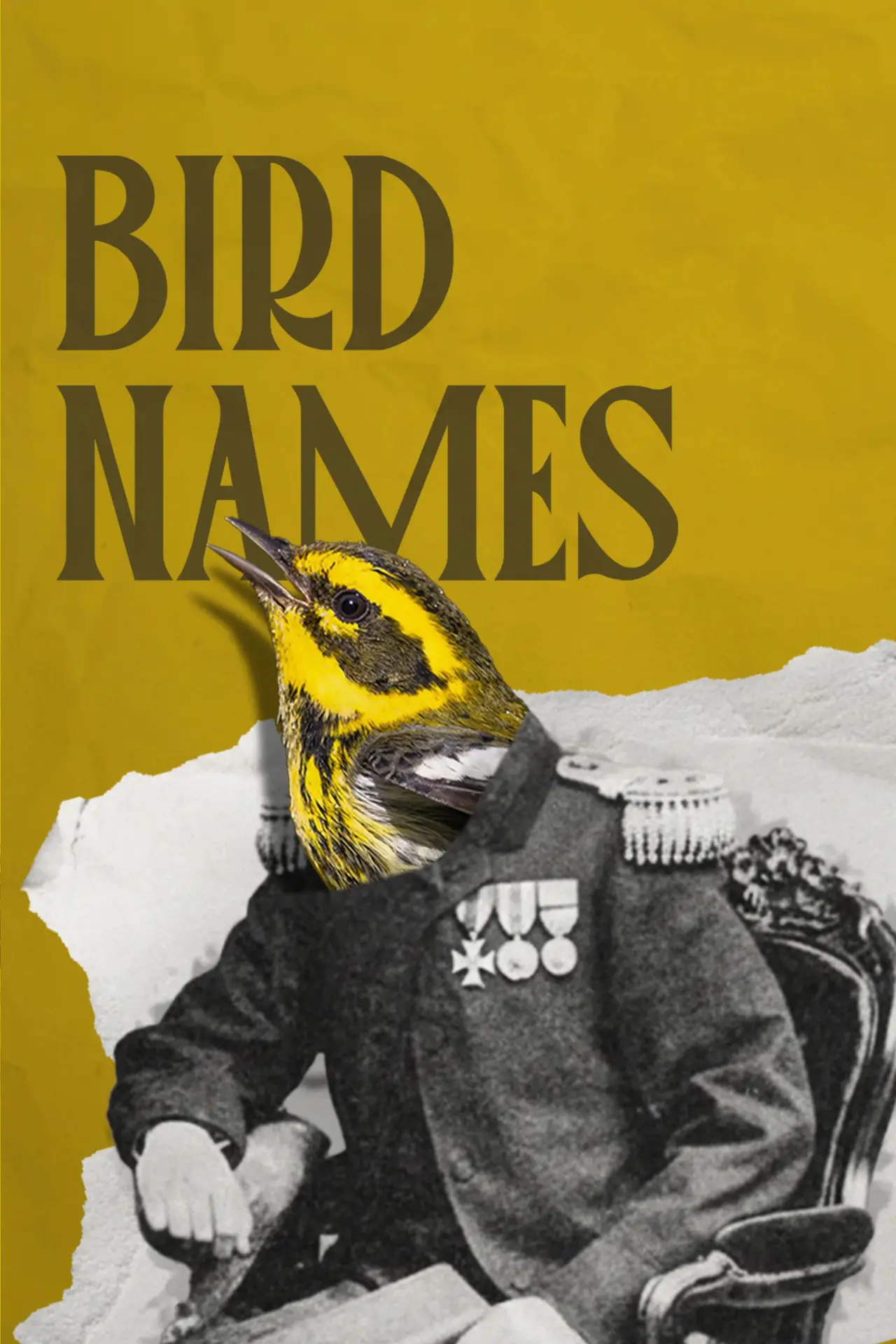 Movie poster "Bird Names"