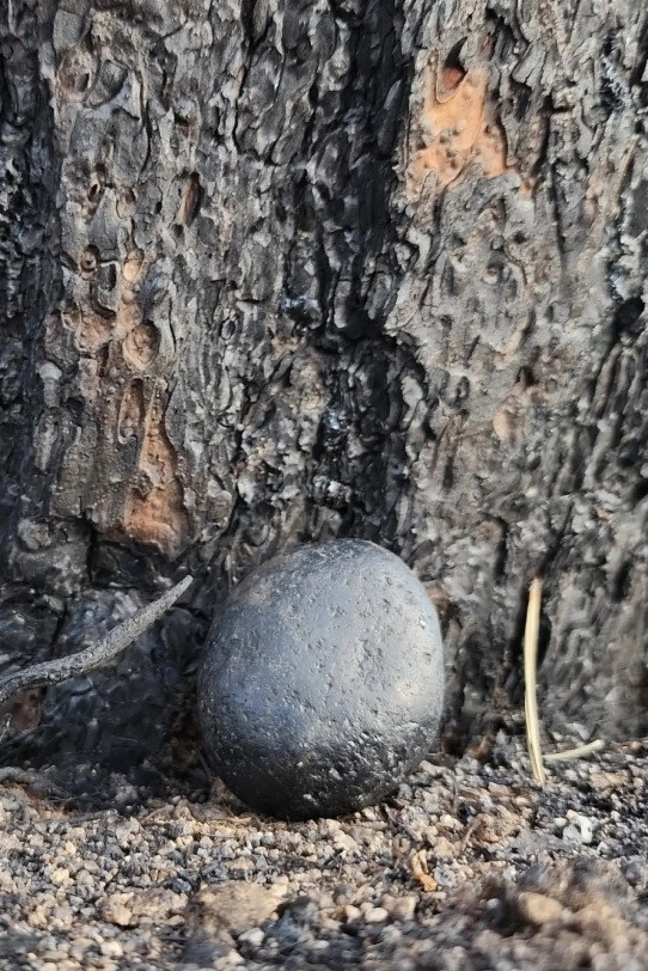 Movie poster "Scorched Stone, Rolling"