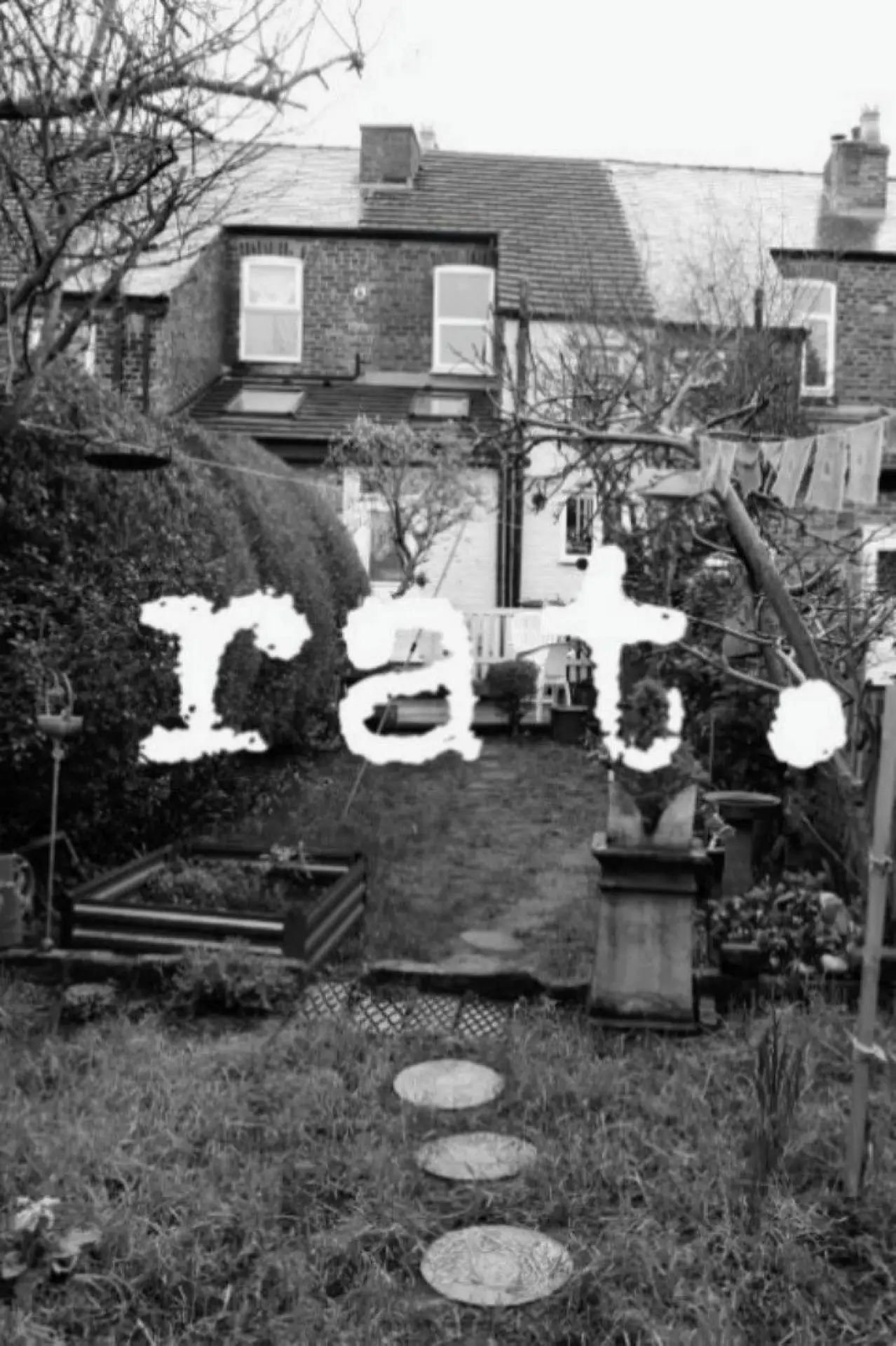 Movie poster "Rat"