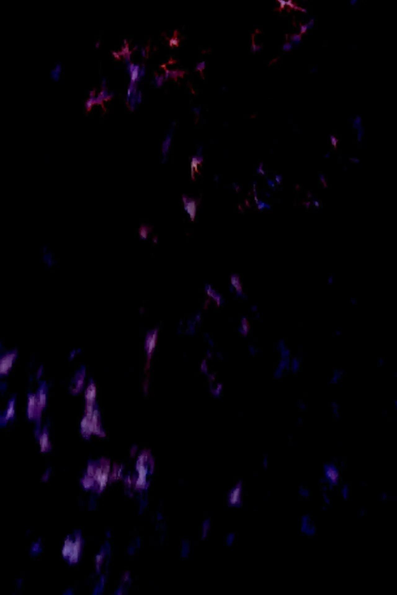 Movie poster "(Study II)"