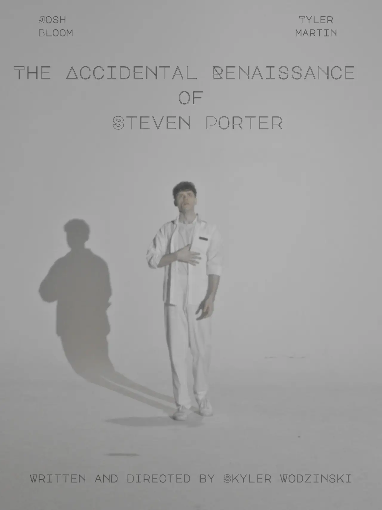Movie poster "The Accidental Renaissance of Steven Porter"